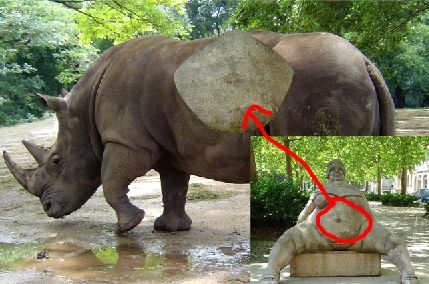 Creation of Rhino: Step 2
